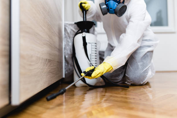 Best Ant Control Services  in Thomasboro, IL
