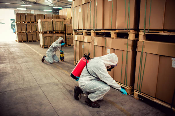 Best Best Pest Control Companies  in Thomasboro, IL