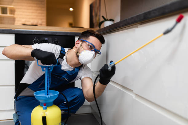 Best Pest Removal Services  in Thomasboro, IL