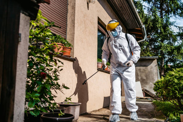 Best Spider Control Near Me  in Thomasboro, IL