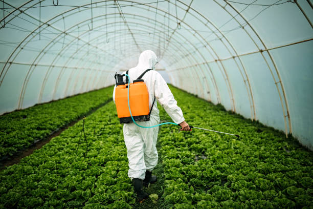 Best Insect Control  in Thomasboro, IL