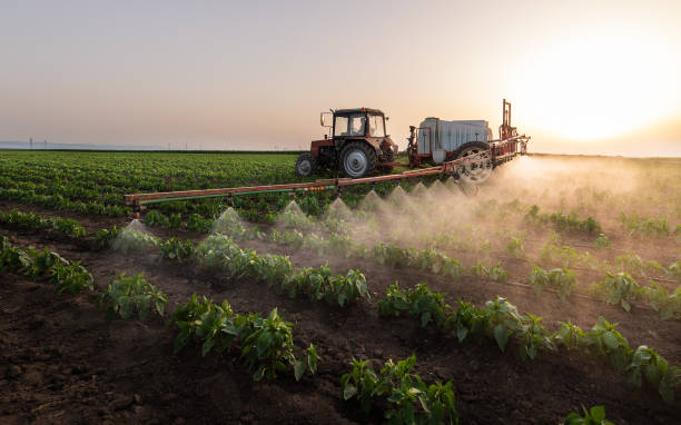 Pest Prevention Services in Thomasboro, IL