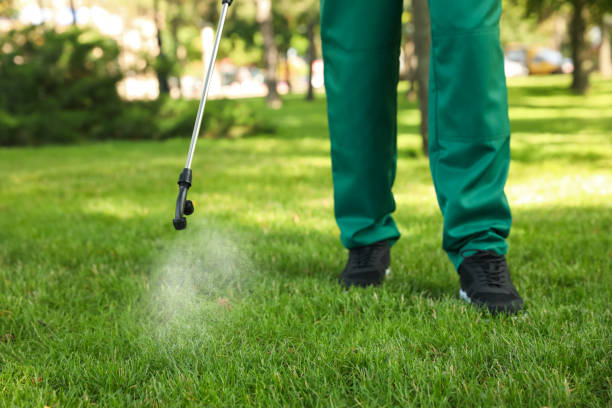 Best Pest Prevention Services  in Thomasboro, IL