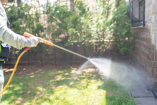 Best Pest Inspection Near Me  in Thomasboro, IL