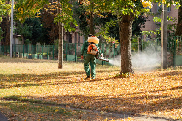 Best Pest Prevention Services  in Thomasboro, IL